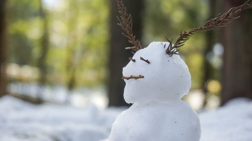 Close-up of snow covered statue