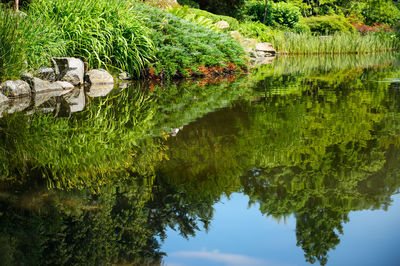 Scenic view of lake and trees