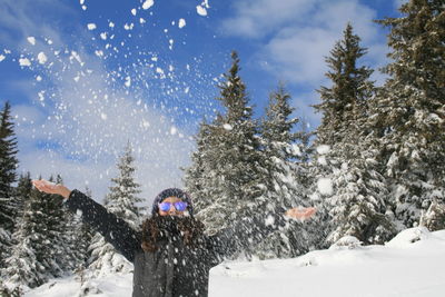 Trees on snow covered land against sky