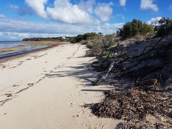 Scenic view of beach against sky