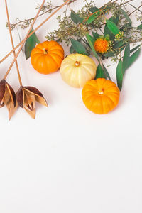 High angle view of orange leaves against white background