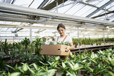 Smiling gardener with box of flowers standing in greenhouse