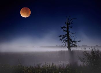 Low angle view of moon in sky