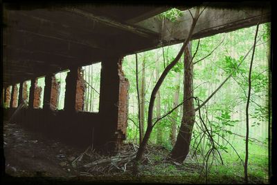 Built structure with trees in background