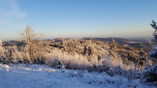 Scenic view of snow field against clear blue sky