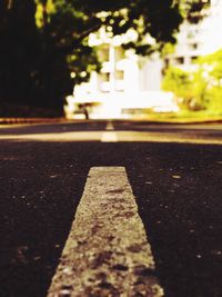 Close-up of road against trees in city