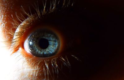 Extreme close-up of human eye