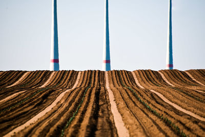 Scenic view of agricultural field against clear sky