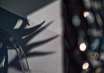 Close-up of shadow on wall