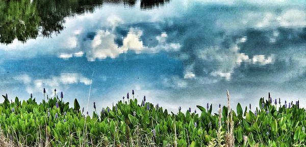 Scenic view of lake against sky