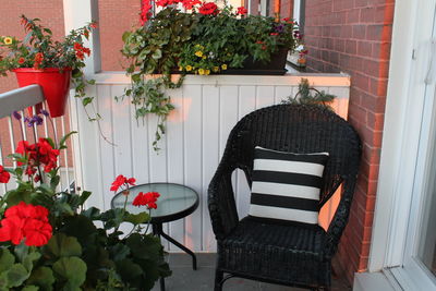 Potted plant on table by chair