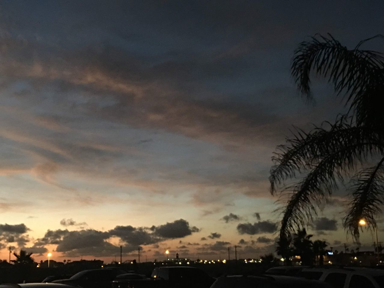 SILHOUETTE OF TREES AGAINST SKY AT DUSK