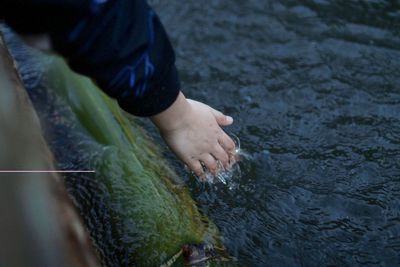 Cropped hand touching water in lake