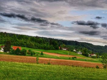 Scenic view of agricultural field against sky