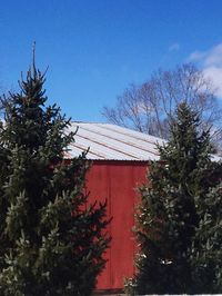 Low angle view of trees against blue sky