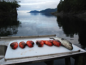 Food on table by lake against sky