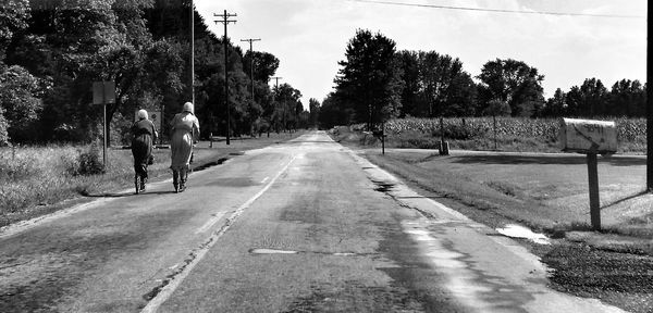 Country road along trees