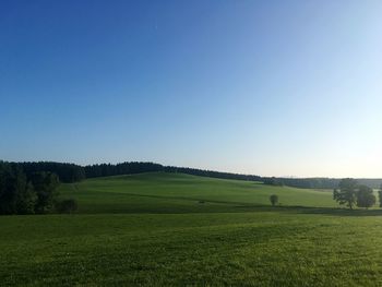 Scenic view of field against clear blue sky