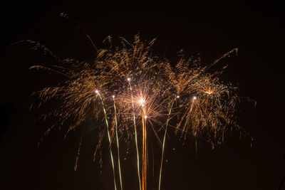 Low angle view of firework display at night