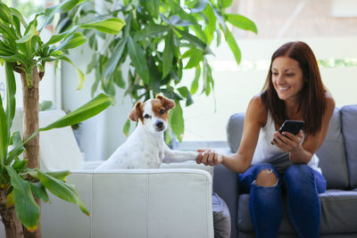 Woman holding smart phone while playing with dog on sofa