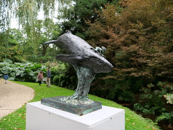 View of bird in park