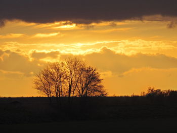 Silhouette of trees on landscape at sunset