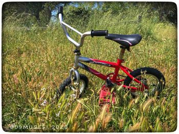 Bicycle parked on field