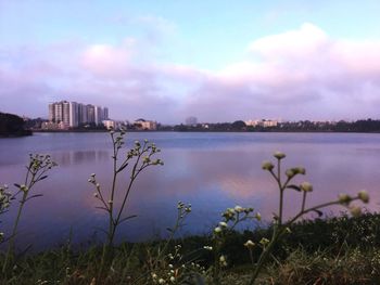 Cityscape by sea against sky