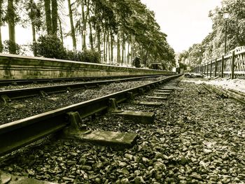 Railroad tracks amidst trees against sky