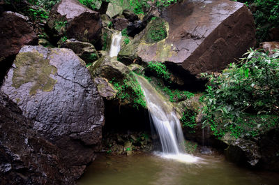 Scenic view of waterfall in forest