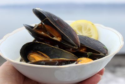 Close-up of hand holding a plate