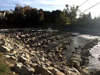 Scenic view of trees against sky
