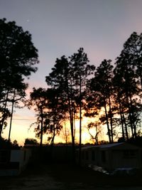 Silhouette trees against sky during sunset