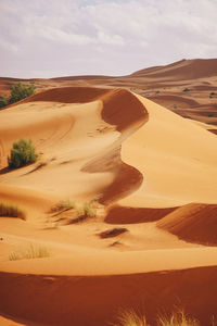 Sand dunes in a desert