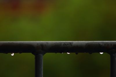 Close-up of raindrops