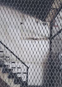 Full frame shot of chainlink fence