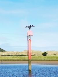 View of bird flying over sea against sky