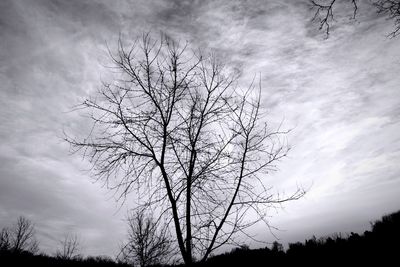 Low angle view of bare tree against cloudy sky