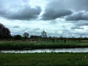 Scenic view of grassy field against cloudy sky