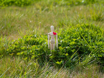 Close-up of toy on field