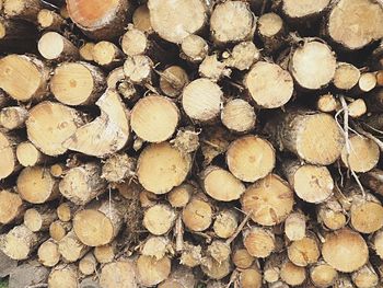 Full frame shot of firewood