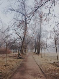 the way forward