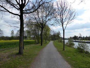 Road amidst bare trees against sky