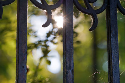 Close-up of metal fence against plants
