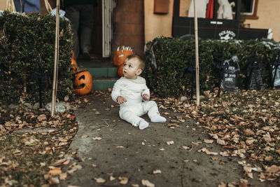 Cute baby boy with toy leaves