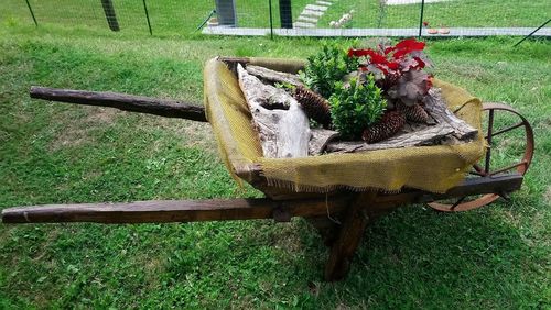 Bench in field