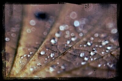 Close-up of water drops on glass