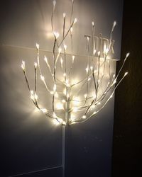 Close-up of plants hanging from tree