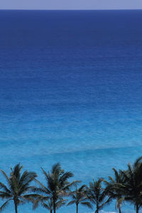 sea