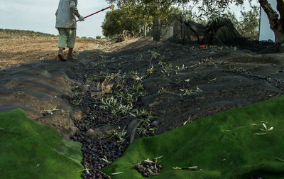 Low section of man working on land